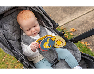 Stroller Cards Out & About