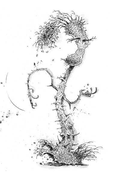 Una yegua llamada Dora