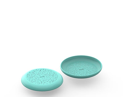 Flying Disc Vintage Blue