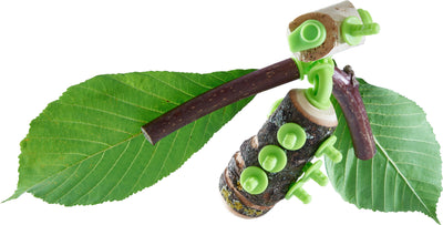 Terra Kids Conectores – Set de construcción Animales