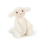 Bashful Lamb