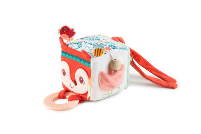 ALICE- CUBO DE ACTIVIDADES