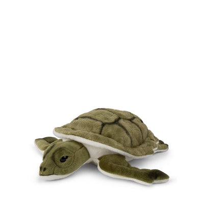 Tortuga - 23 cm