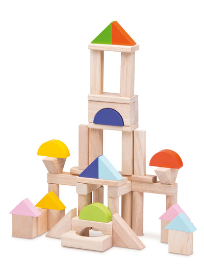 50 Pieces Blocks