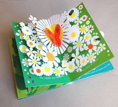 EL JARDÍN DE LAS MARIPOSAS